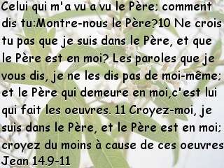 Jean 14.9-11