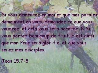 Jean 15.7-8