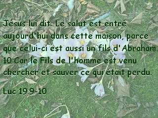 Luc 19.9-10