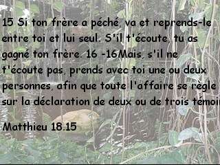 Matthieu 18.15