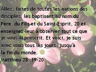Matthieu 28