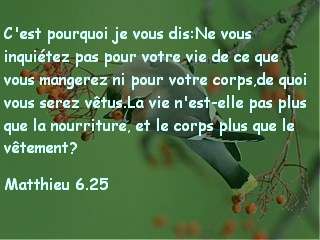 Matthieu 6.25.jpg