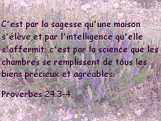 Proverbes 24.3-4.jpg