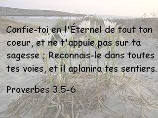 Proverbes 3.5-6