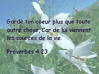 Proverbes 4.23