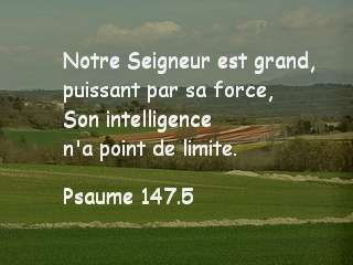 Psaume 147 .5