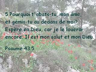 Psaume 43.5