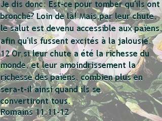 Romains 11.11-12.