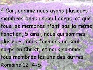 Romains 12 .4-5