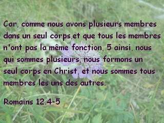 Romains 12.4-5