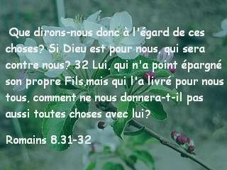 Romains 8.31-32