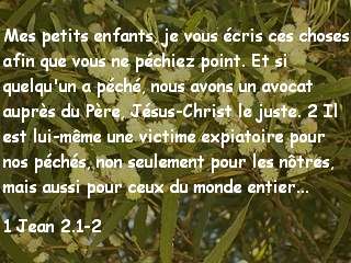 1 Jean 2.1-2