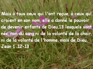 Jean 1.12-13