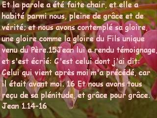Jean 1.14-16.jpg