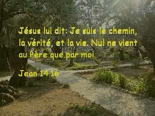 Jean 14.16