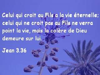 Jean 3.36