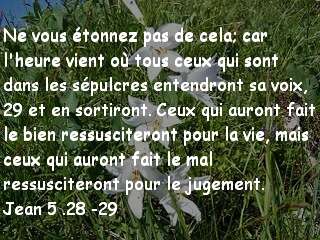 Jean 5.28-29..jpg