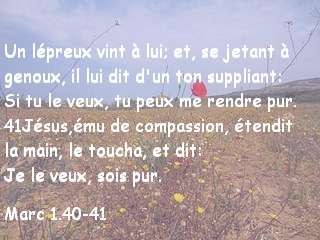 Marc 1.40-41.jpg
