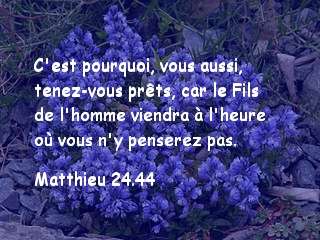 Matthieu 24.44