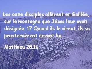Matthieu 28.16