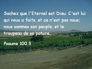 Psaume 100.3.jpg