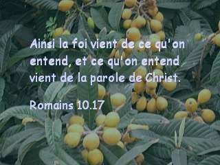 Romains 10.17