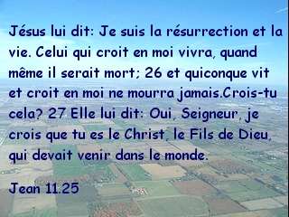 Jean 11.25.jpg
