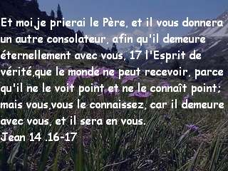 Jean 14 .16-17