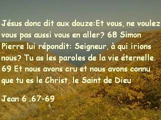 Jean 6 .67-69.jpg