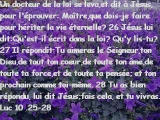 Luc 10 .25-28