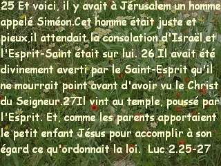 Luc 2.25-27.jpg