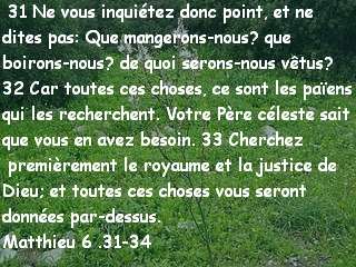 Matthieu 6 .31-34