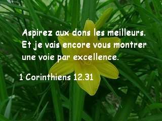 1 corinthiens 12.31