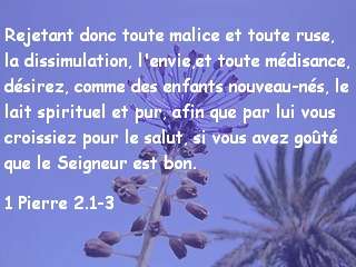 1 pierre 2.1-3
