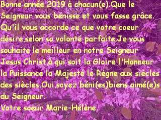 Bonne année 2019 à chacun(e).