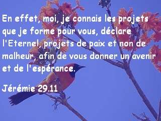 Jérémie 29.11.