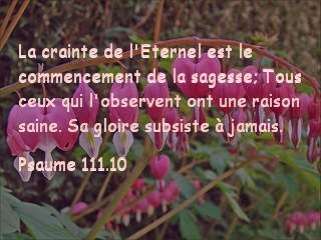 Psaume 111.10.jpg