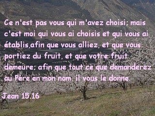 Jean 15.16.