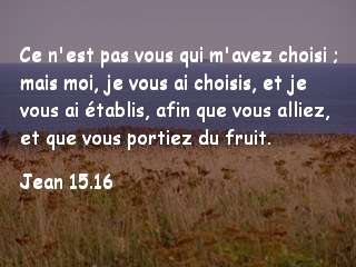 jean 15.16