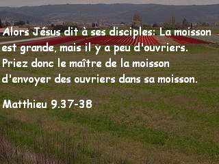 matthieu 9.37-38