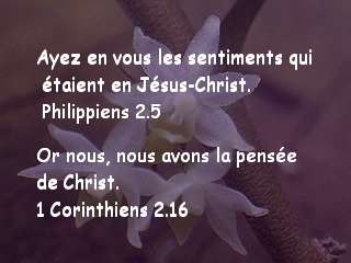 philippiens 2.5