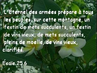 Ésaïe 25.6