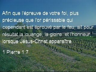 1 Pierre 1.7
