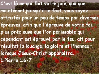 1 Pierre 1.6-7..