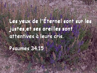 Psaumes 34.15