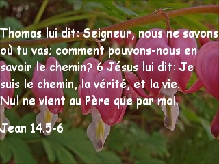 Jean 14.5-6