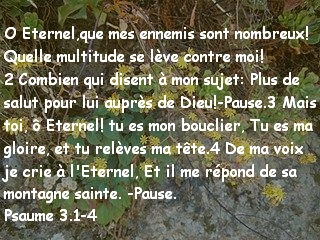 Psaume 3.1-4