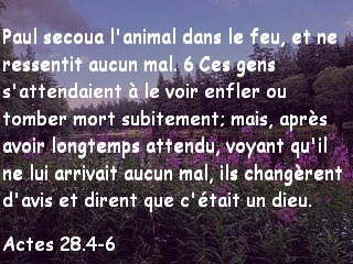 Actes 28.5-6.jpg