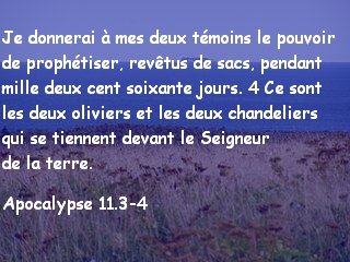 Apocalypse 11.3-4