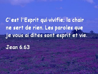Jean 6.63.jpg
